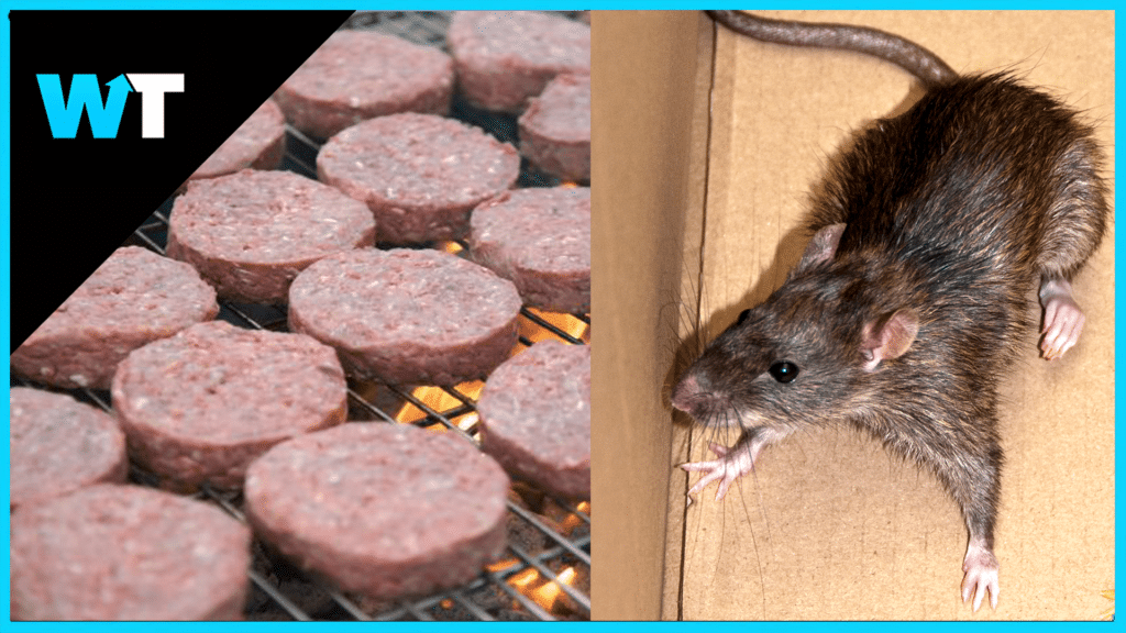 VIDEO: Burger Employee Cooking Rat Goes Viral | What's Trending - A Rat Cooked My Food And I Liked It