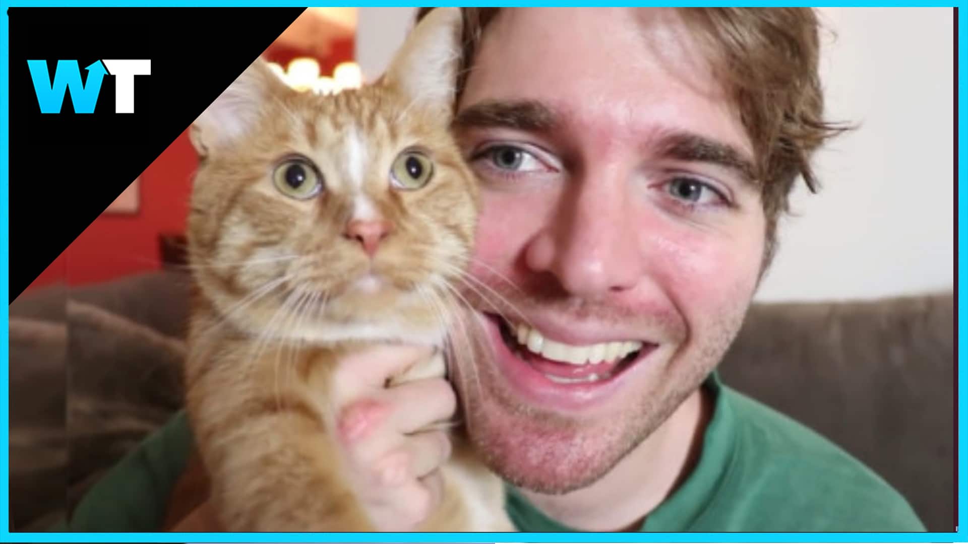 Shane Dawson Cat Video Best Cat Wallpaper