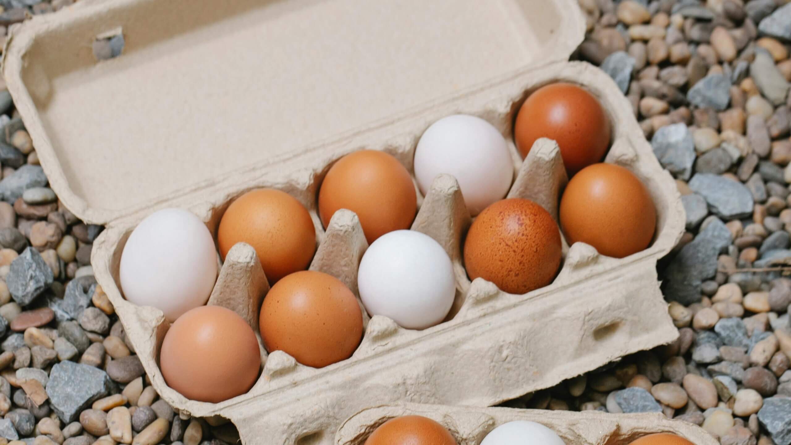 Karton berisi campuran telur berwarna coklat dan putih diletakkan di atas hamparan batu-batu kecil.
