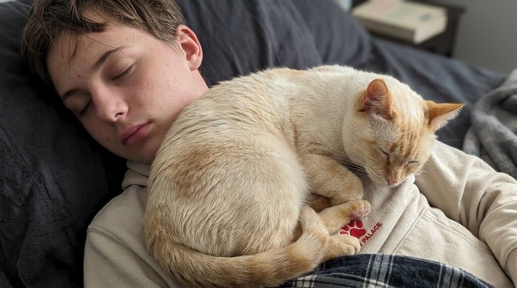 Remaja tidur di sofa dengan kucing oranye terang meringkuk di dada mengenakan hoodie Palace