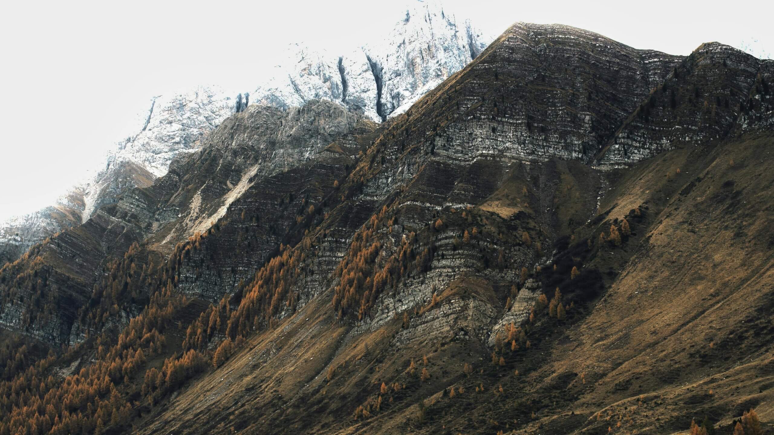 Lereng gunung berbatu dengan pepohonan musim gugur yang jarang dan puncak yang tertutup salju sebagai latar belakang