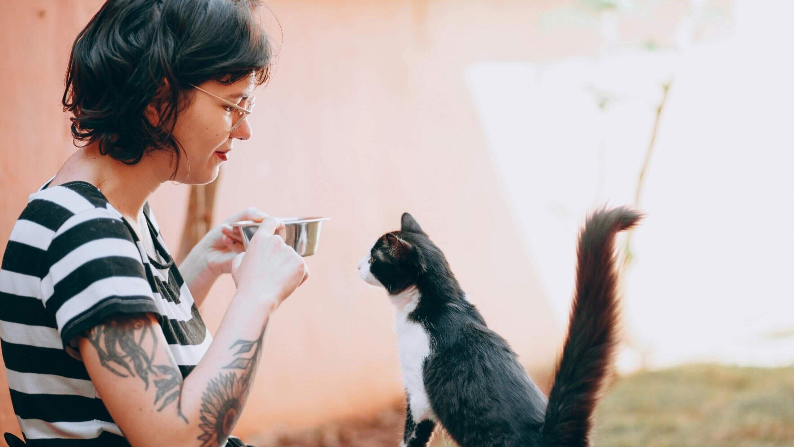Orang bertato dan berkacamata sedang memberi makan kucing hitam putih dari mangkuk logam di luar ruangan