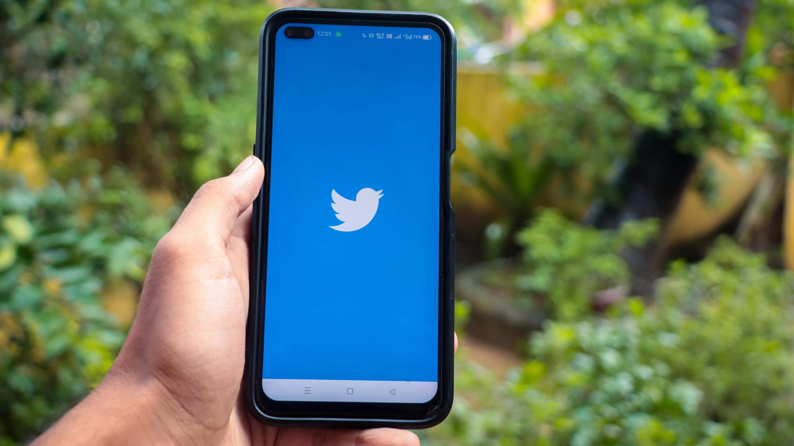 Ponsel pintar genggam menampilkan layar pemuatan aplikasi Twitter dengan latar belakang biru dan logo burung putih di luar ruangan