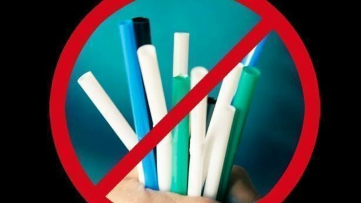 Starbucks Responds to Straw Ban Backlash - Disability Rights