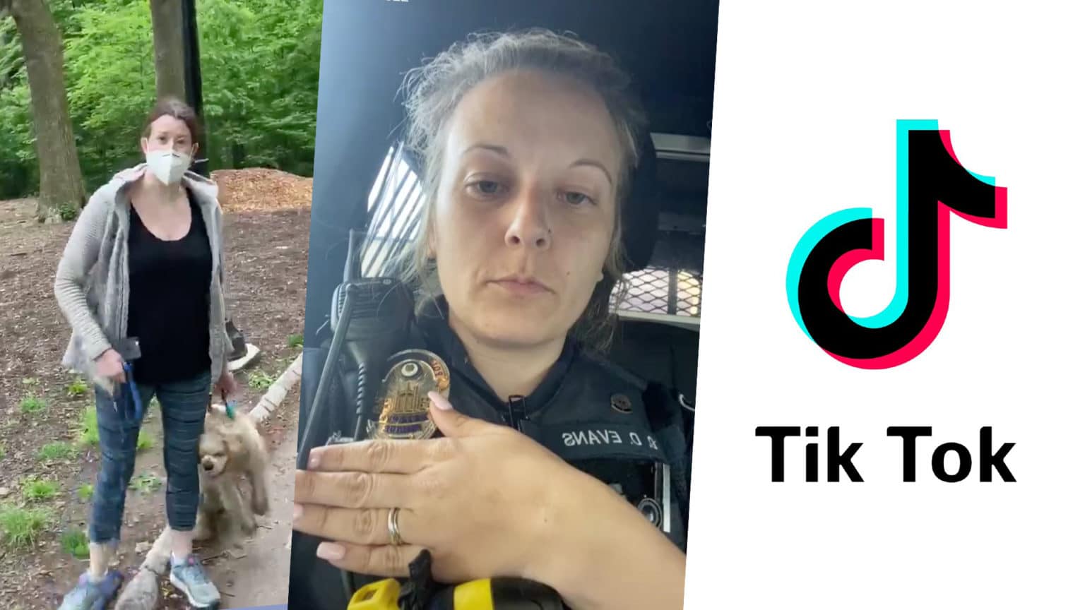 Karens of tiktok