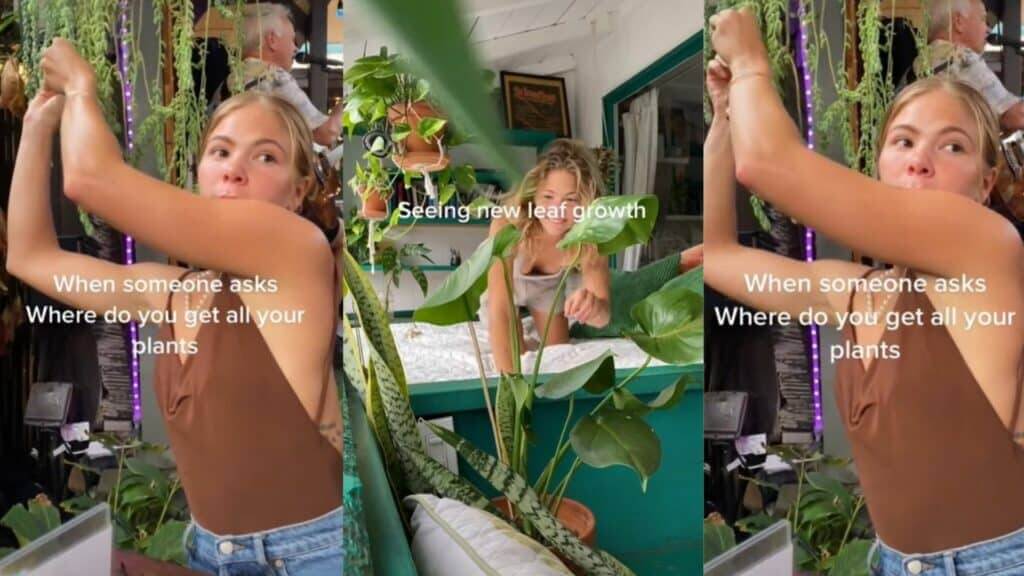 Woman in brown top reaching for hanging plants with text about plant growth and source.