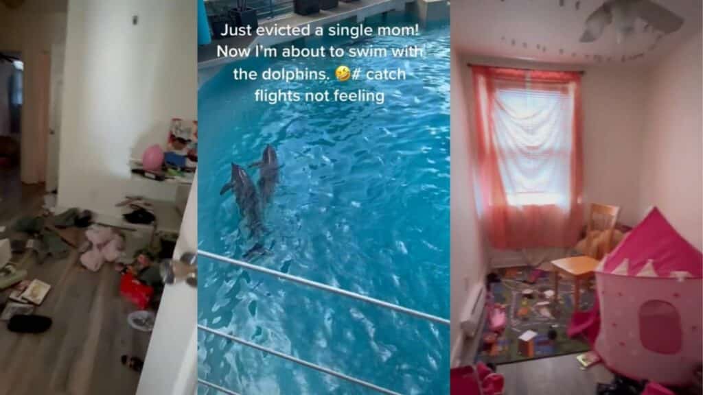 Two dolphins swimming in a pool with overlaid text about evicting a single mom and swimming with dolphins.