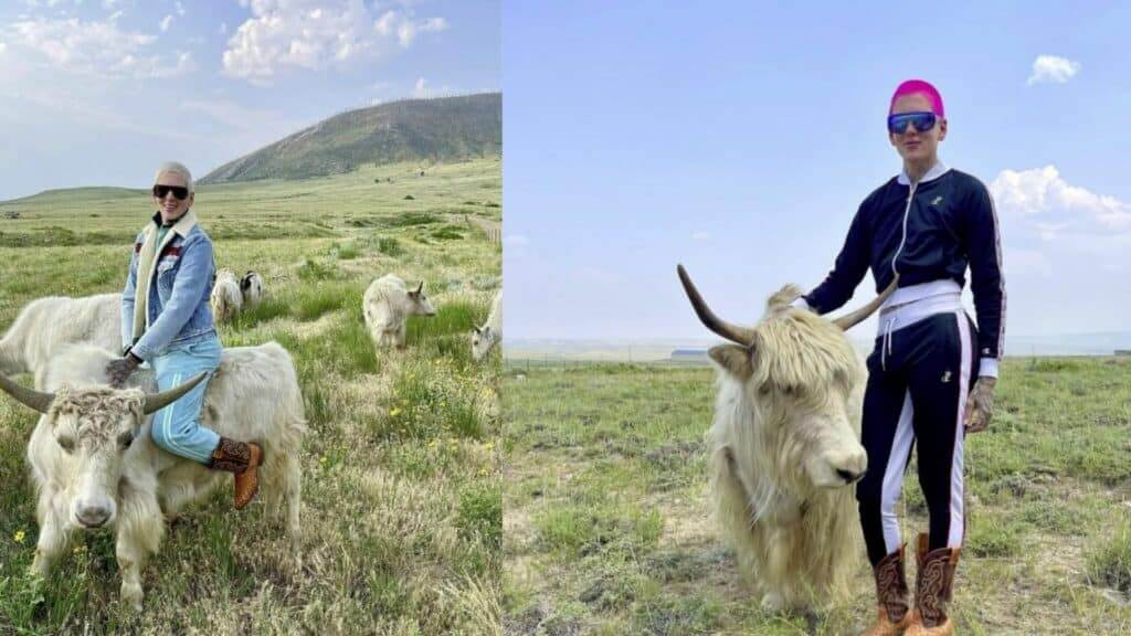 Two people with colorful hair and sunglasses posing outdoors with white yaks in a grassy field