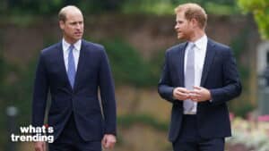 Prince William and Prince Harry walking outdoors in suits and ties engaged in conversation