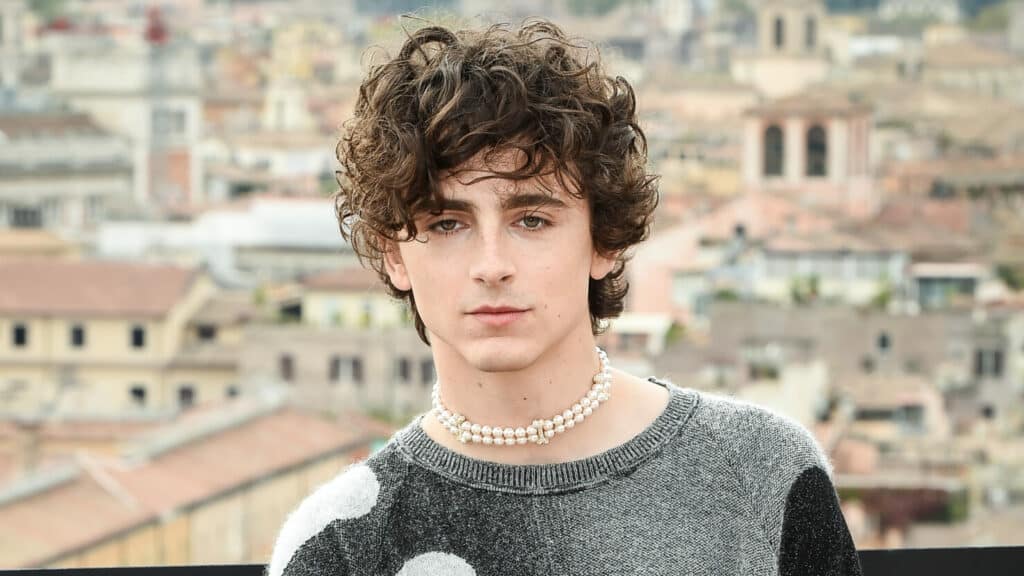 American actor Timothée Chalamet during the photocall for the presentation of the film Bones and All, at the Hotel de la Ville. Rome (Italy), November 12th, 2022 