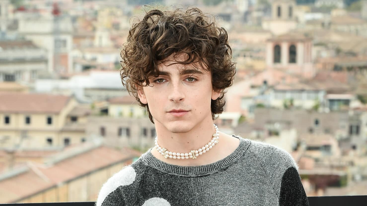 American actor Timothée Chalamet during the photocall for the presentation of the film Bones and All, at the Hotel de la Ville. Rome (Italy), November 12th, 2022