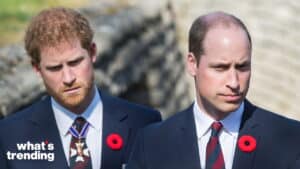 Prince Harry and Prince William wearing suits with red poppy pins outdoors