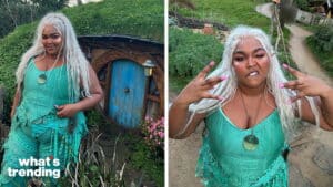 Person with long white hair and elf ears wearing a turquoise outfit posing outdoors near a hobbit-style house and garden path