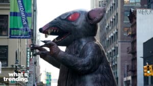 Inflatable giant rat with red eyes and sharp teeth in an urban street setting near Garment District banners.