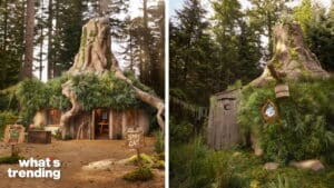 Shrek's swamp house with moss-covered roof and wooden signs saying "Beware Ogre" and "Stay Out" in a forest setting