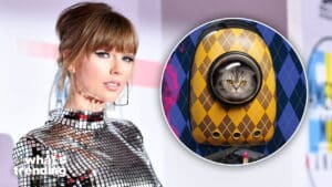 Taylor Swift in a reflective silver dress next to a yellow and brown argyle-patterned cat backpack with a cat inside.