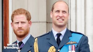 Prince Harry and Prince William in military uniforms standing side by side outdoors