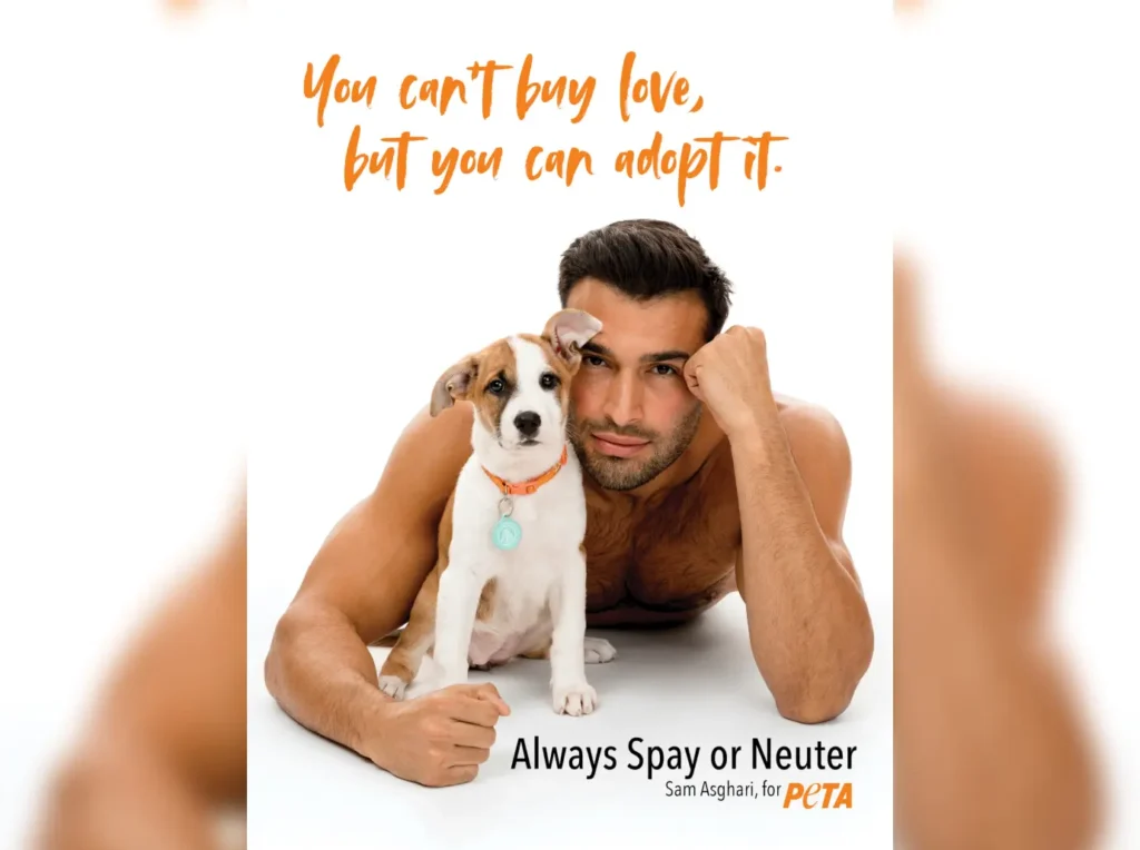 Sam Asghari was slammed for working with PETA after the advertisement shamed his estranged wife, Britney Spears. 