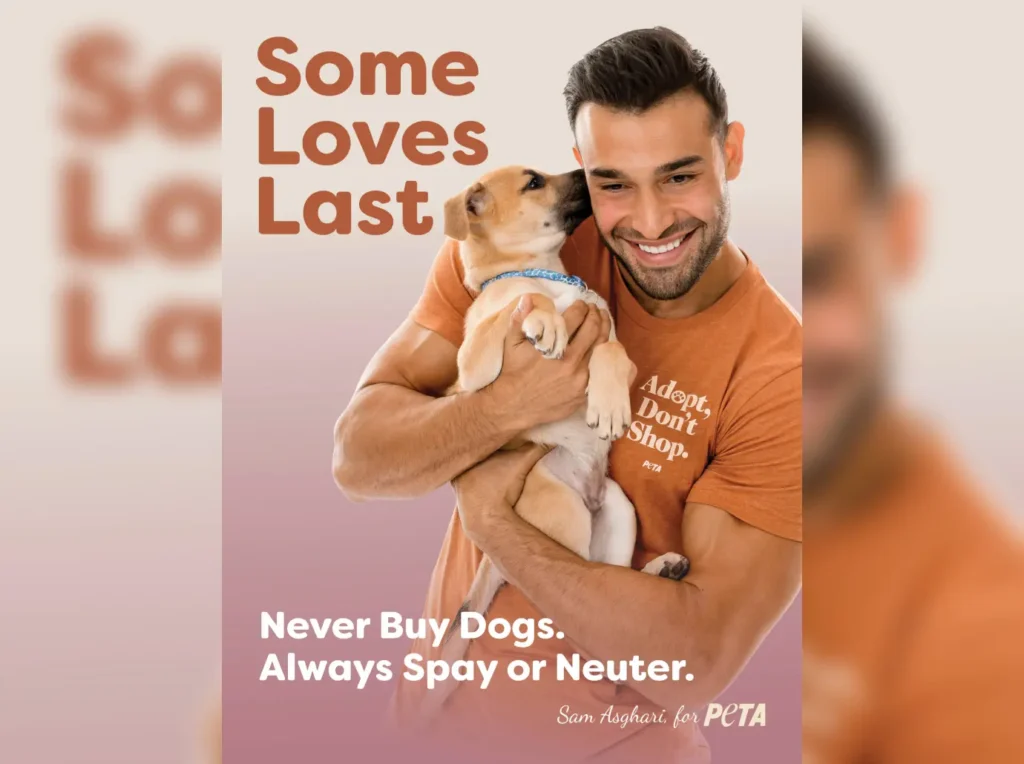 Sam Asghari was slammed for working with PETA after the advertisement shamed his estranged wife, Britney Spears.