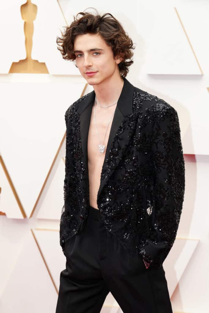 Timothée Chalamet attends the 94th Annual Academy Awards at Hollywood and Highland on March 27, 2022 in Hollywood, California.