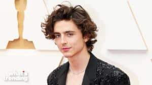 HOLLYWOOD, CALIFORNIA - MARCH 27: Timothée Chalamet attends the 94th Annual Academy Awards at Hollywood and Highland on March 27, 2022 in Hollywood, California. (Photo by Jeff Kravitz/FilmMagic)