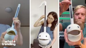 An odd looking and sounding instrument called an Otamatone is taking over TikTok.