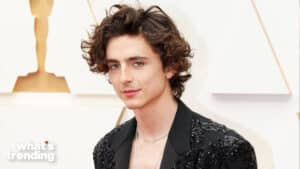 HOLLYWOOD, CALIFORNIA - MARCH 27: Timothée Chalamet attends the 94th Annual Academy Awards at Hollywood and Highland on March 27, 2022 in Hollywood, California. (Photo by Jeff Kravitz/FilmMagic)