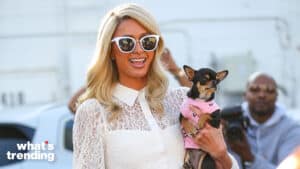 LOS ANGELES, CA - NOVEMBER 05: Paris Hilton is seen on November 05, 2021 in Los Angeles, California. (Photo by Bellocqimages/Bauer-Griffin/GC Images)