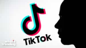 In this photo illustration, a silhouette of a person is seen and the TikTok logo is seen in the background.