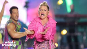 P!nk performs for her Summer Carnival Tour in Los Angeles, California.
