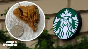 LEFT: TikTok user Teryn (@teryn1989) has gone viral with a video claiming she found a full-sized grasshopper in her Pumpkin Loaf (Picture by: @teryn1989) RIGHT: The Starbucks coffee shop logo is seen on the street in Krakow, Poland, on August 19, 2024. (Picture by: Klaudia Radecka/NurPhoto / Shutterstock)