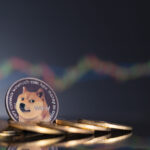 If you’re new to DOGE and are interested in adding it to your crypto investment portfolio, you’ve come to the right place.