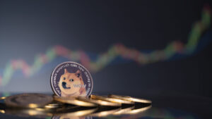 If you’re new to DOGE and are interested in adding it to your crypto investment portfolio, you’ve come to the right place.