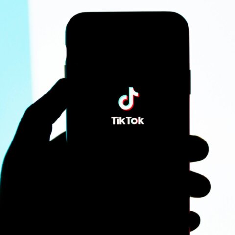 Let’s take a look at some of the most successful TikTok influencers and how they became millionaires!