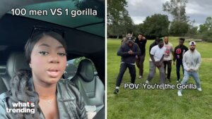 MrBeast’s tweet sparked a viral debate: can 100 men beat a gorilla? The internet has since exploded with videos, memes, and skit along with expert opinions.