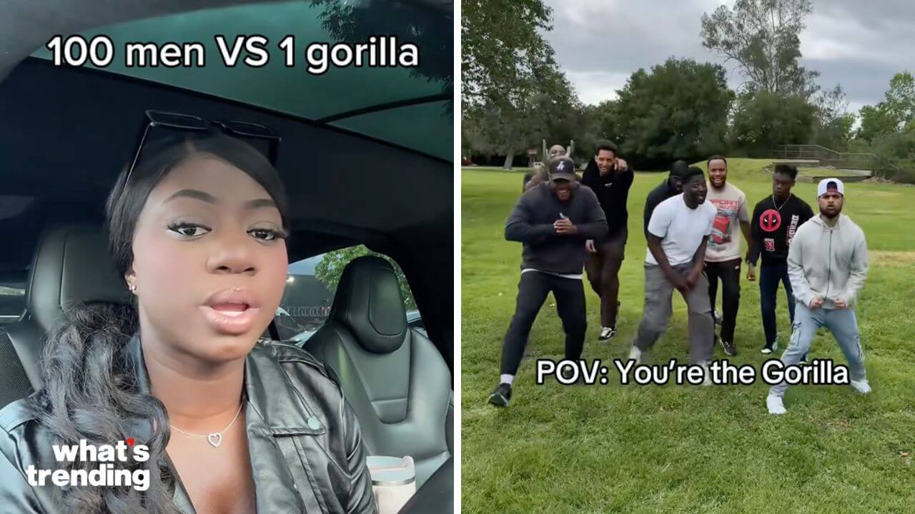 Experts Weigh In As MrBeast’s Tweet Sparks Viral ‘100 Man vs. Gorilla