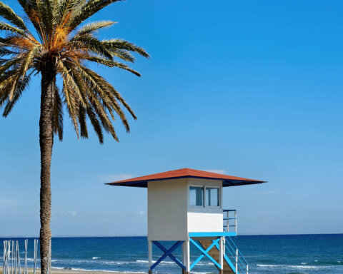 This guide will uncover Palm Beach County's most Instagrammable spots, spanning scenic beaches, historic landmarks, and breathtaking gardens. Bookmark this blog for your next photography adventure.