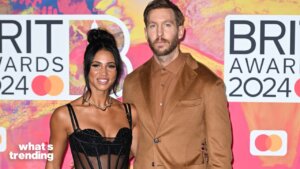 Calvin Harris' baby announcement featuring placenta photos has divided the internet and sparked a viral warning.