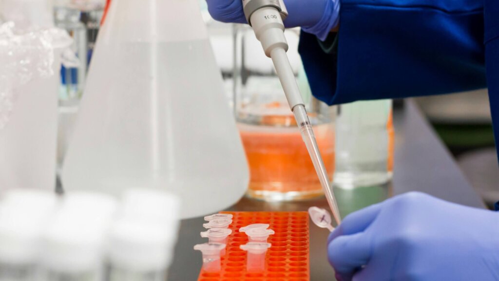 Scientist wearing blue gloves using a pipette to transfer liquid into small tubes in an orange rack in a lab.
