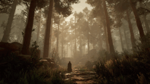 Person walking on a stone path through a dense, sunlit forest with tall trees and mist.