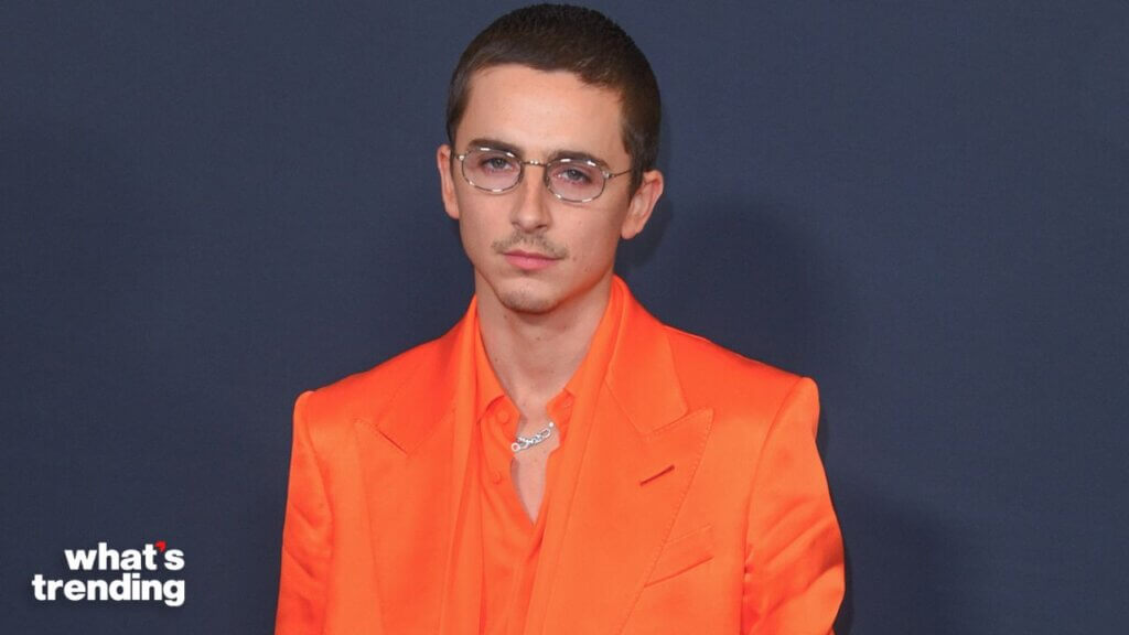 Timothée Chalamet and masked British rapper EsDeeKid released a music video to debunk rumors, but fans suspect a body double proves the rap conspiracy is still alive.