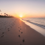 Sunrise over a sandy beach with palm trees and footprints along the shoreline.