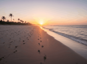 Sunrise over a sandy beach with palm trees and footprints along the shoreline.