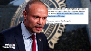As Dan Bongino annouces his resignation, we look inside the 'Dog That Caught The Car' theory and the culture clash that possibly drove him back to podcasting.