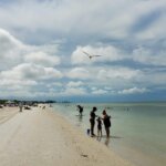 People enjoying a sunny day on a sandy beach with calm water and a seagull flying overhead