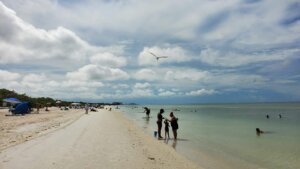 People enjoying a sunny day on a sandy beach with calm water and a seagull flying overhead
