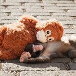 Baby monkey lying on its back cuddling a large orange stuffed monkey on a cobblestone surface.