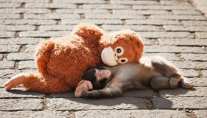Baby monkey lying on its back cuddling a large orange stuffed monkey on a cobblestone surface.