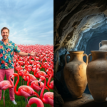 Man in floral shirt among flamingos and man surprised by ancient vases in a cave-like setting