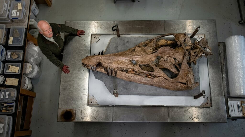 Man standing next to a large fossilized dinosaur skull on a metal table in a lab setting